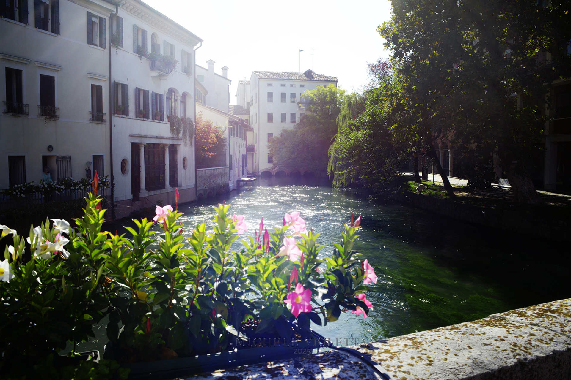 Treviso - Il Sile dal Ponte S.Francesco