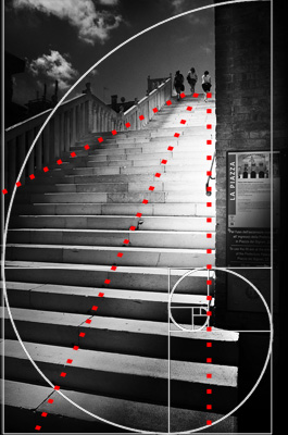 2017 (Treviso - Scalinata Palazzo dei Trecento ) + FIBONACCI