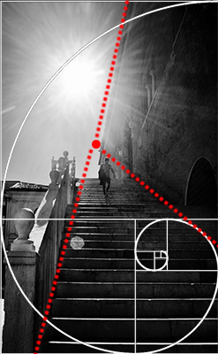 2017 (Treviso - Scalinata Palazzo dei Trecento ) + FIBONACCI